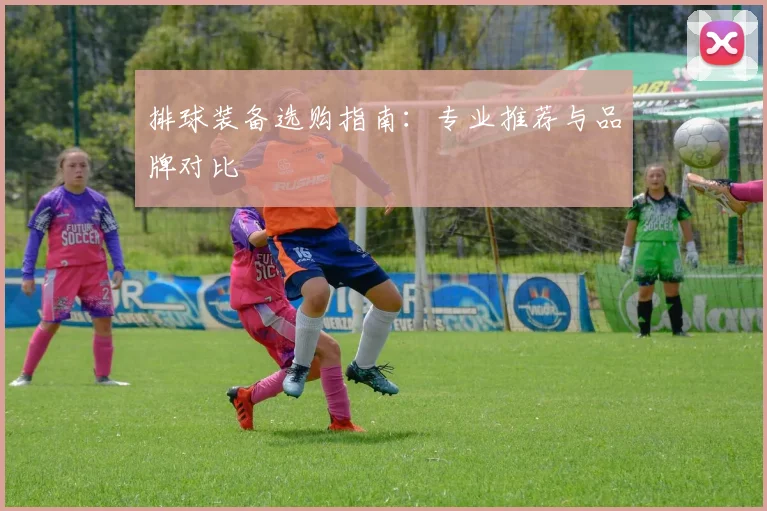 排球装备选购指南：专业推荐与品牌对比